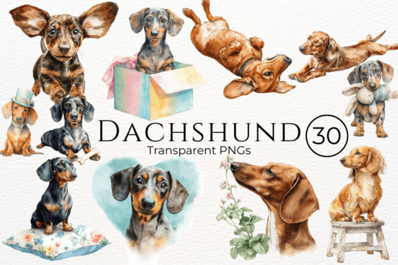 Dachshund Dog Watercolor Clipart for Creative Projects