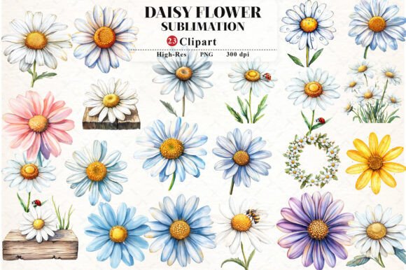 Daisy Flower Watercolor Cliparts Guide