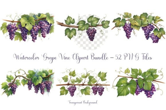 Grape Vine Watercolor Bundle