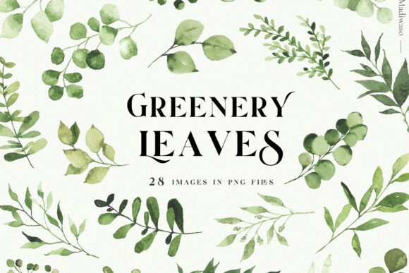 Green Leaves Watercolor Clipart Foliage: A Natural Asset for Design