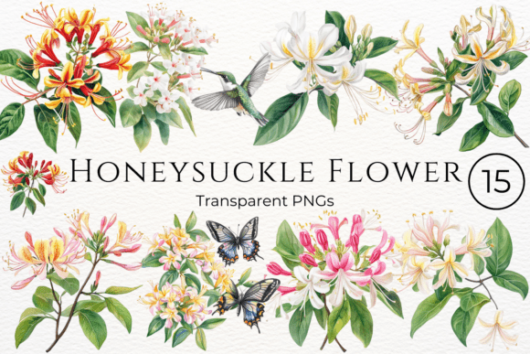 Honeysuckle Flower Watercolor Clipart