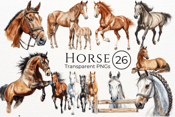 Horse Watercolor Cliparts: A Designer's Creative Asset