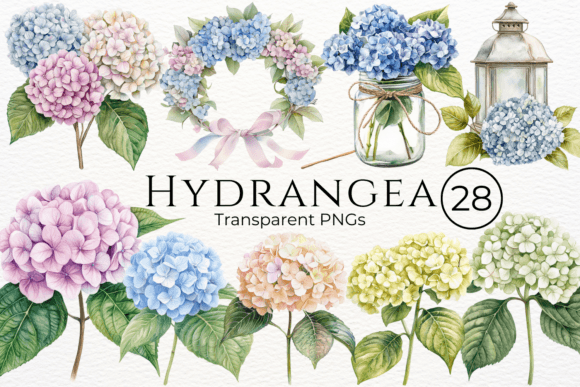 Hydrangea Watercolor Cliparts