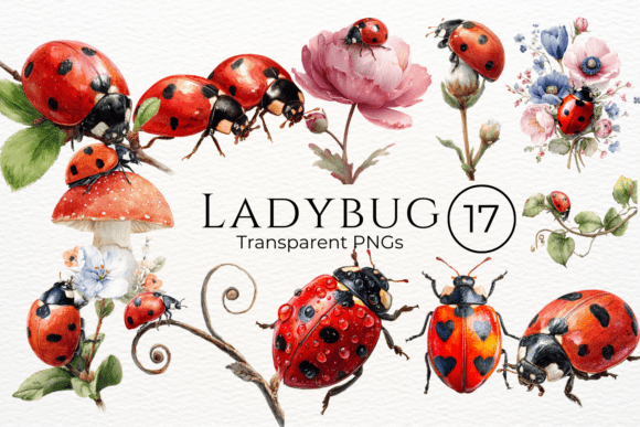 Ladybug Watercolor Clipart in Design Projects