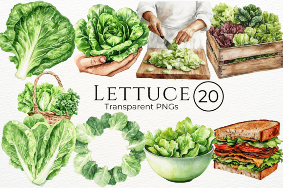 Lettuce Watercolor Cliparts for Fresh Visual Branding