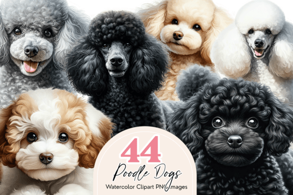 Poodle Clipart Bundle: 44 Watercolor Dog Illustrations