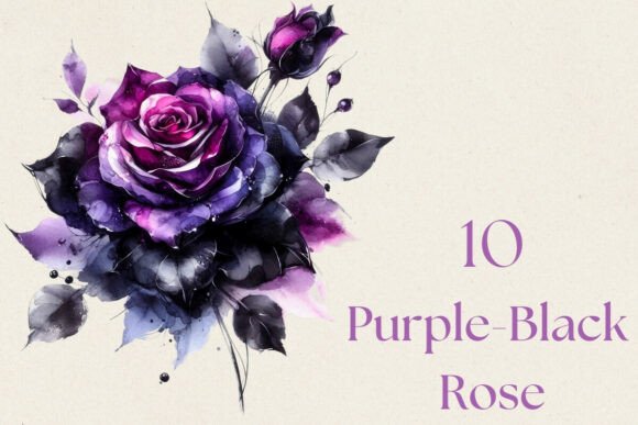 Purple Black Rose Flower Watercolor PNG