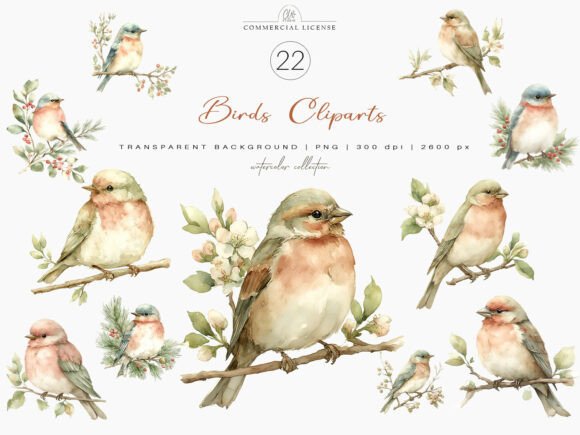Watercolor Birds Clipart: A Designer's Guide
