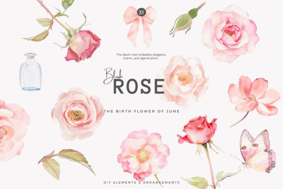 Watercolor Clipart Birth Month Flower