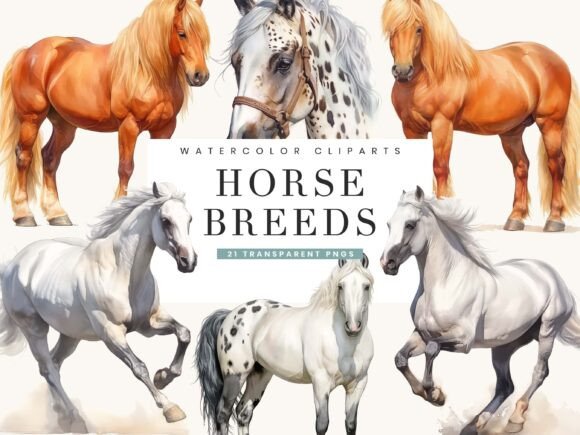 Watercolor Horse Breeds Clipart Bundle