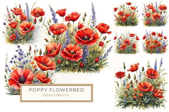 Watercolor Red Poppy and Wildflowers PNG for Design Projects