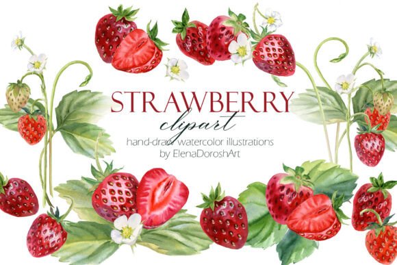 Watercolor Strawberry Clipart Set